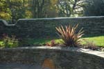 Cotswold Dry Stone Wall